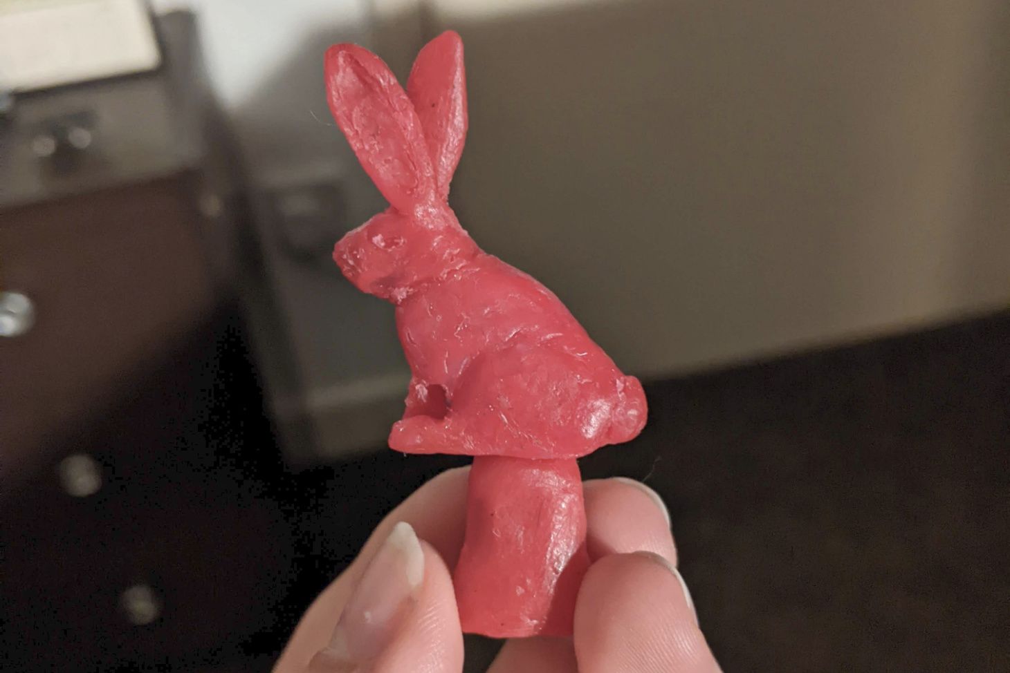 Wax model of rabbit.