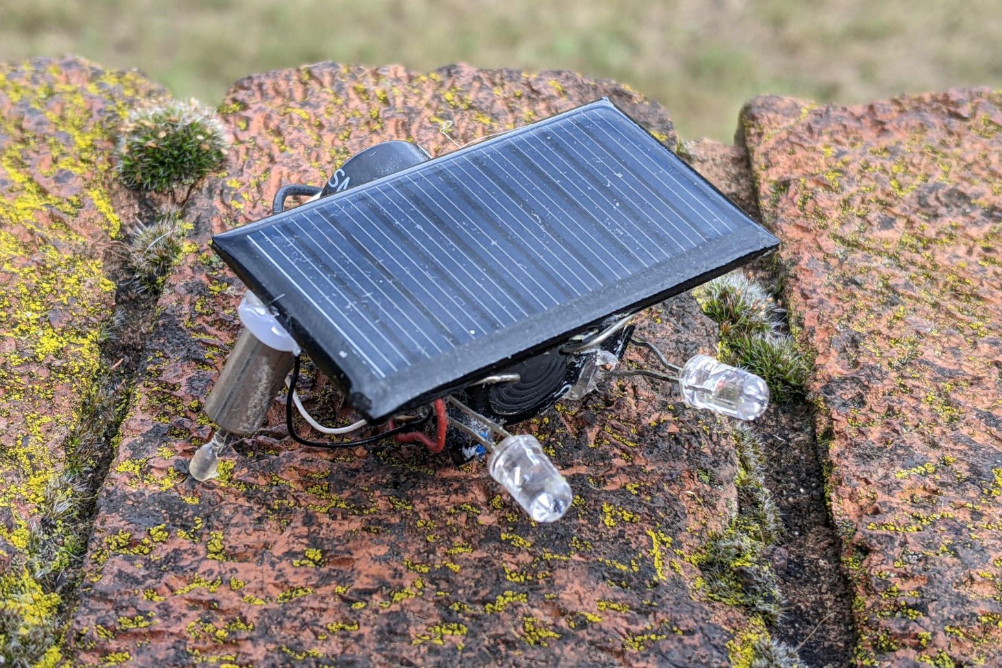 A FLED photopopper.