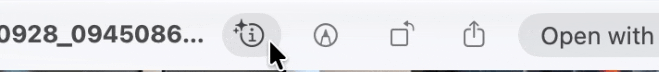 Clicking a button in Quick Look that does nothing.