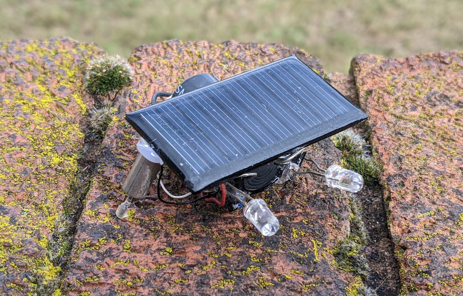 A FLED photopopper.