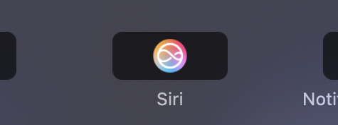 The old Siri logo in the Touch Bar settings.